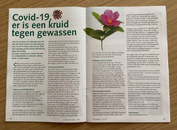 Artikel cistus