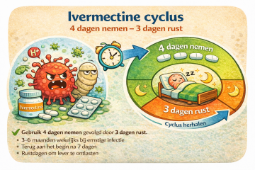 Ivermectine traitement en cycle 0